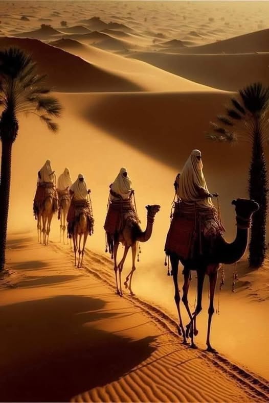 Deserto do Saara: curiosidades, tamanho e mistérios do maior deserto quente do mundo